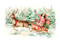 Illustrated REINDEER Holiday Card